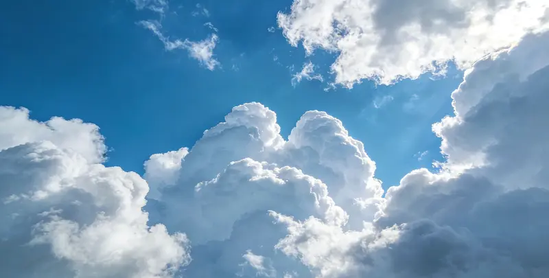 肺癌68基因检测图2