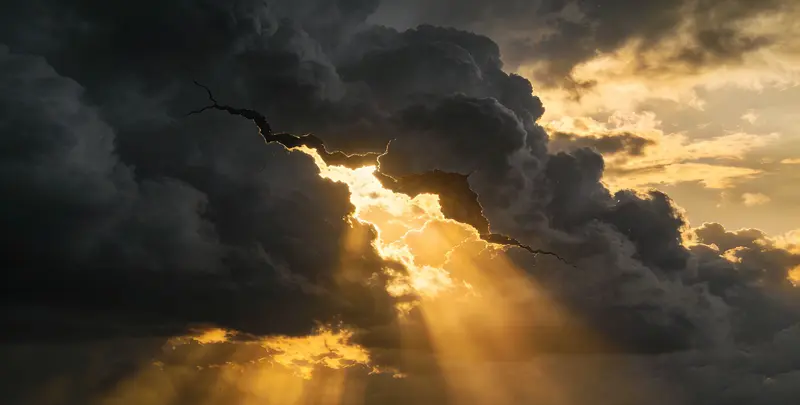 临夏肺癌8基因突变检测（组织）图片1